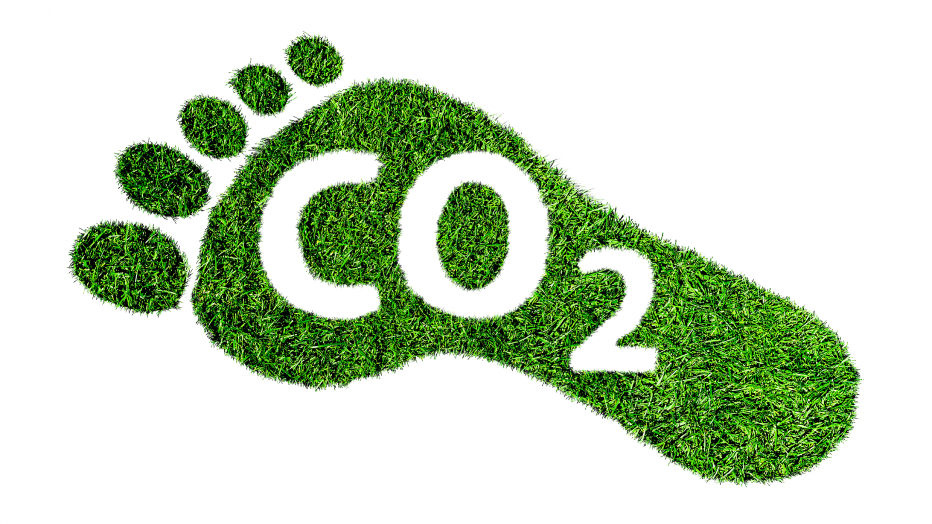 La importancia de la de carbono en las organizaciones - APlanet