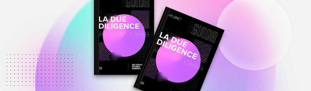 La Due Diligence