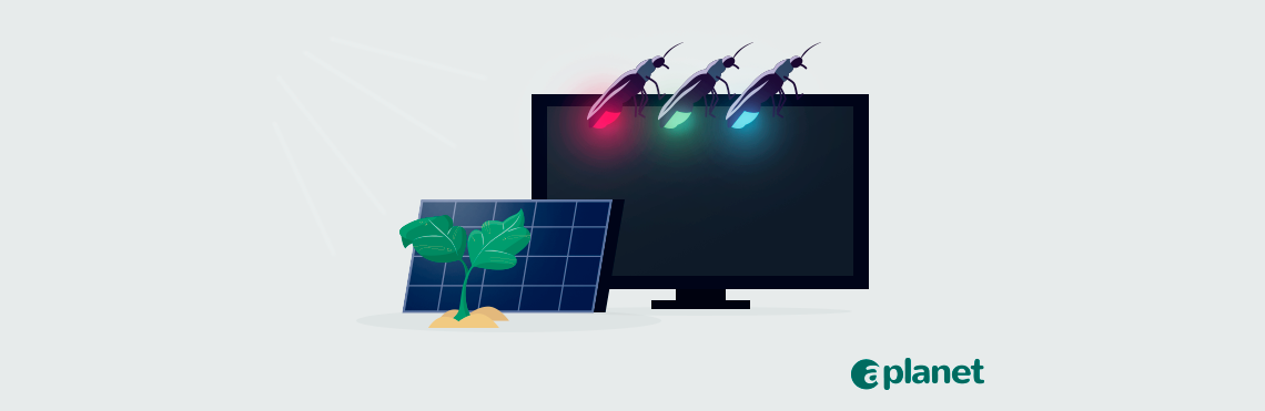 Innovation and creativity can be found by taking a close look at nature. Fireflies and the process of photosynthesis inspired technological inventions like LED lights and solar panels