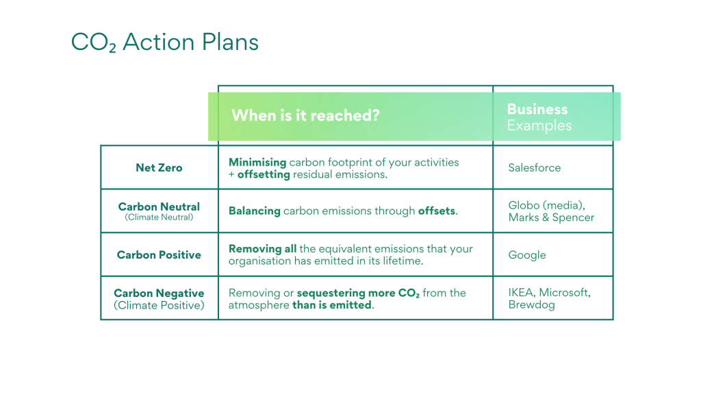 Net Zero action plan