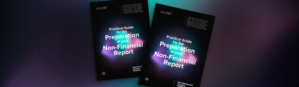 Practical guide for the preparation of your Non-Financial Report