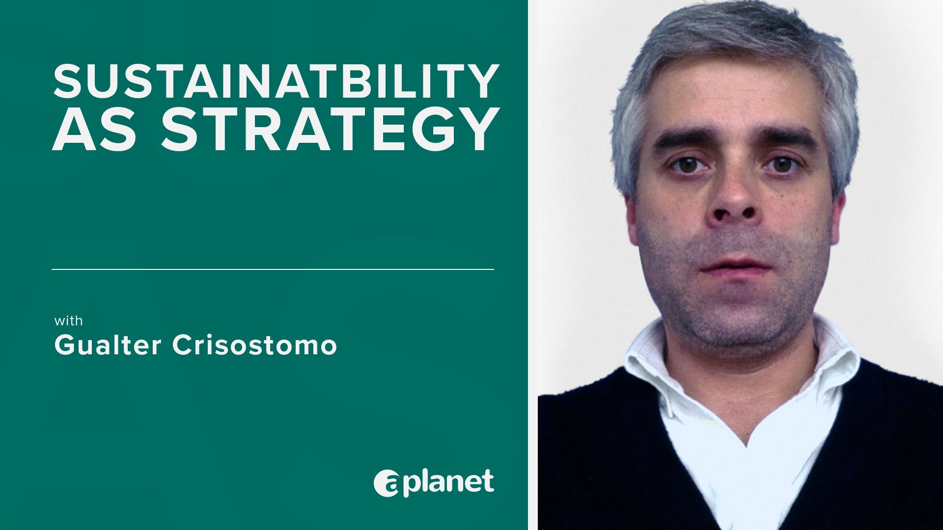 sustainability as a strategy