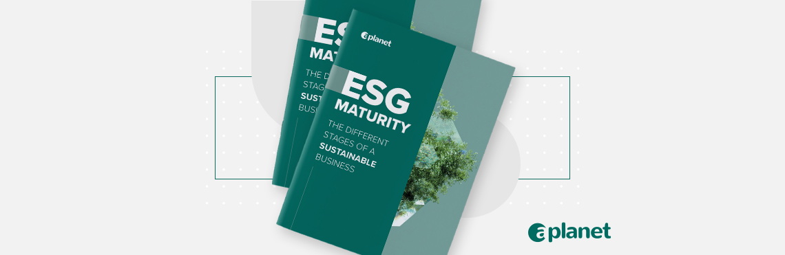 ESG Maturity