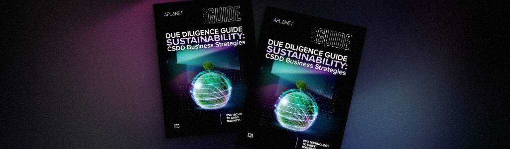 Due diligence guide